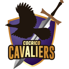 Team logo